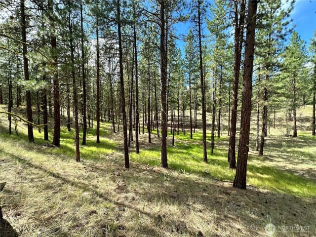 Property photo for 67 Larkspur Drive, Winthrop photo 3