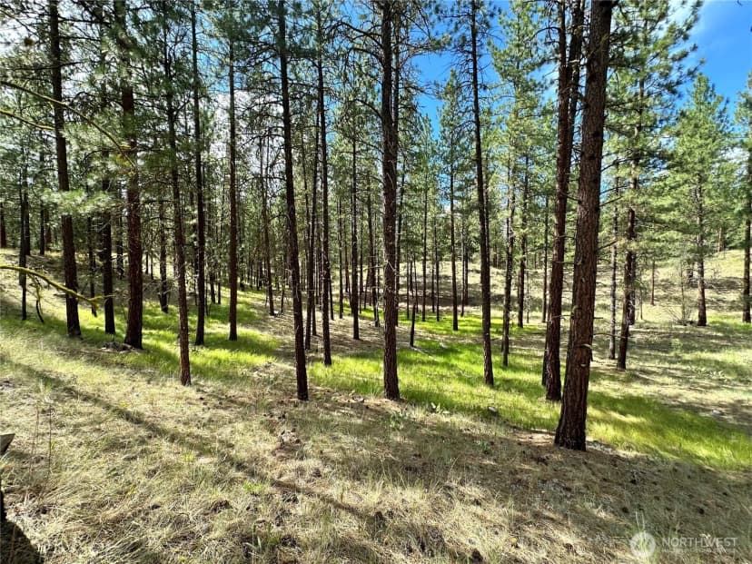 Property photo for 67 Larkspur Drive, Winthrop photo 3