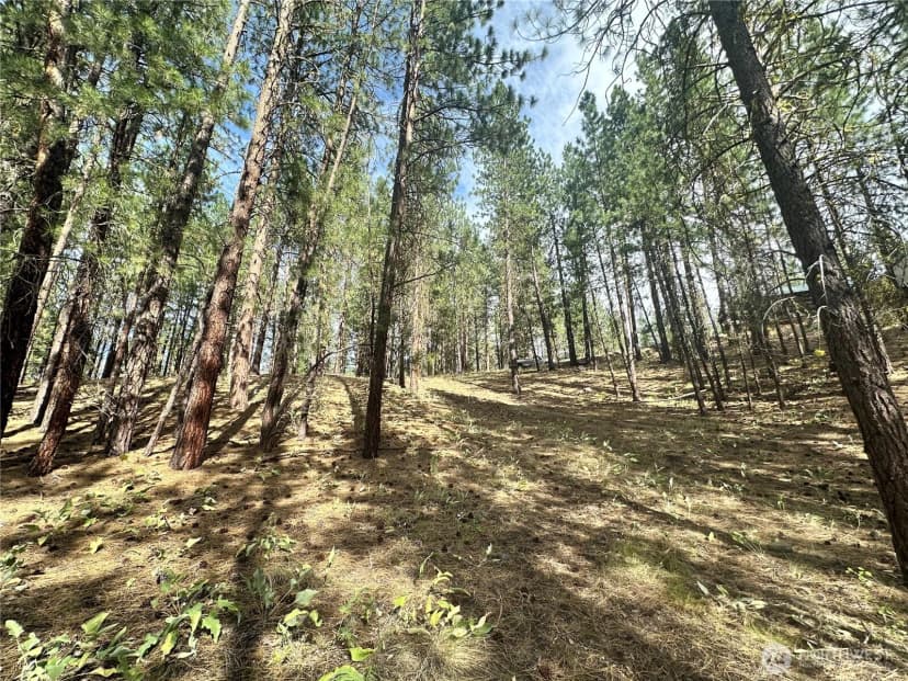 Property photo for 67 Larkspur Drive, Winthrop photo 14