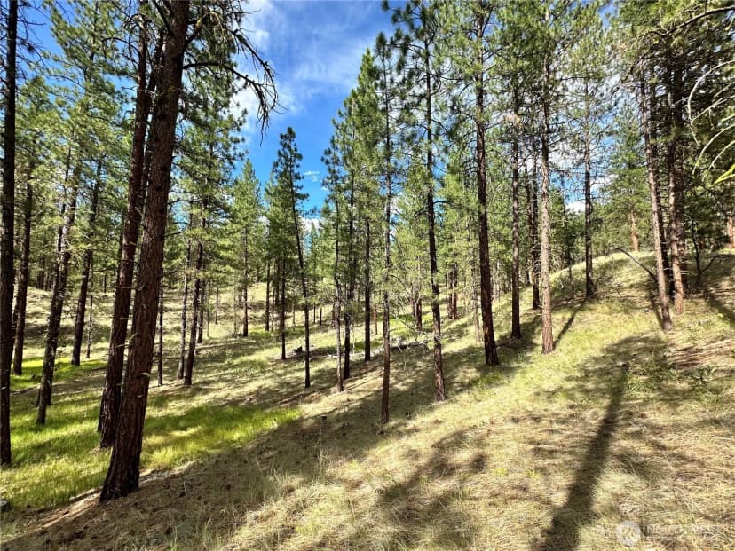 Property photo for 67 Larkspur Drive, Winthrop photo 12