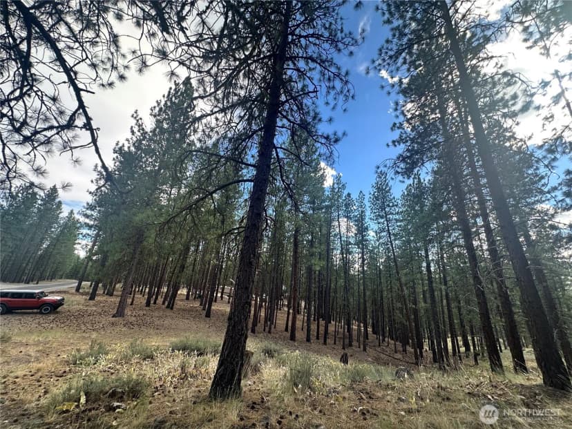 Property photo for 67 Larkspur Drive, Winthrop photo 8