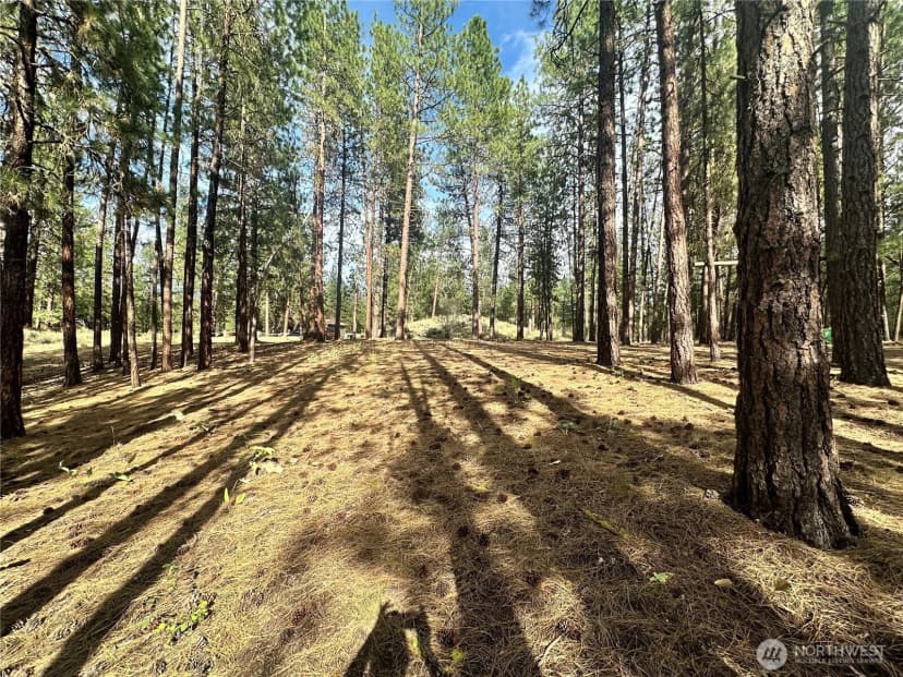 Property photo for 67 Larkspur Drive, Winthrop photo 15