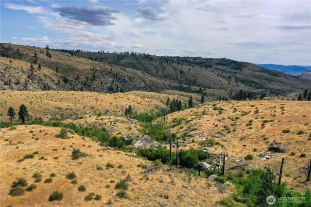 Property photo for 0 Tbd Indian Dan Canyon, Brewster photo 4