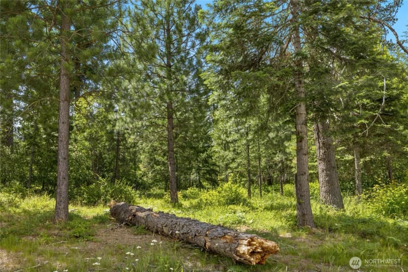 Property photo for 21 Old Grove Trail, Cle Elum photo 19