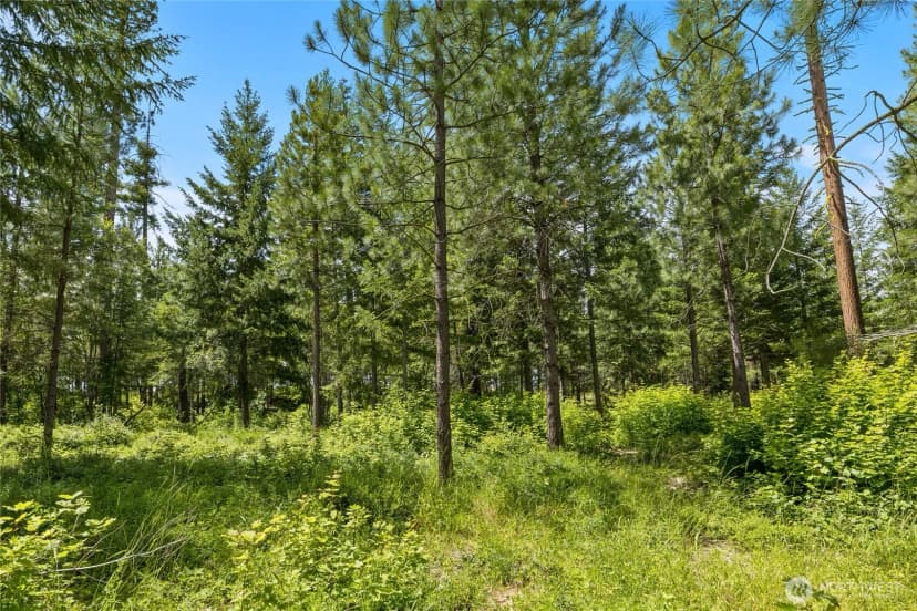 Property photo for 21 Old Grove Trail, Cle Elum photo 22