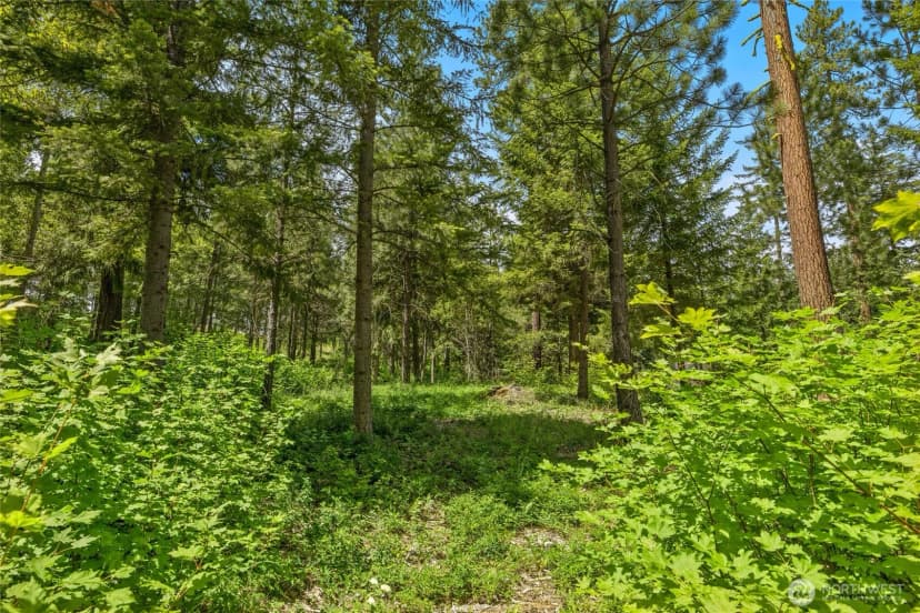 Property photo for 21 Old Grove Trail, Cle Elum photo 24
