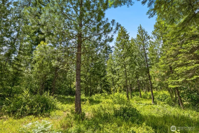 Property photo for 21 Old Grove Trail, Cle Elum photo 20