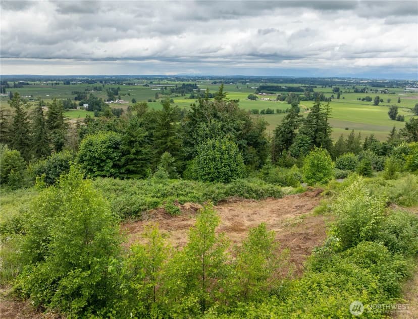 Property photo for 4135 Kamphouse Drive, Sumas photo 39