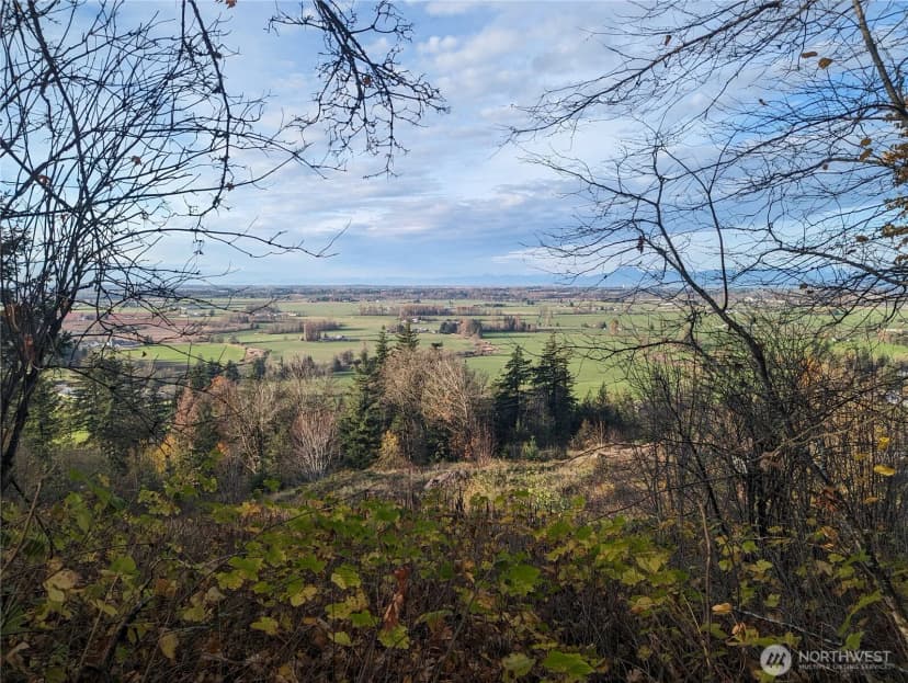 Property photo for 4135 Kamphouse Drive, Sumas photo 17