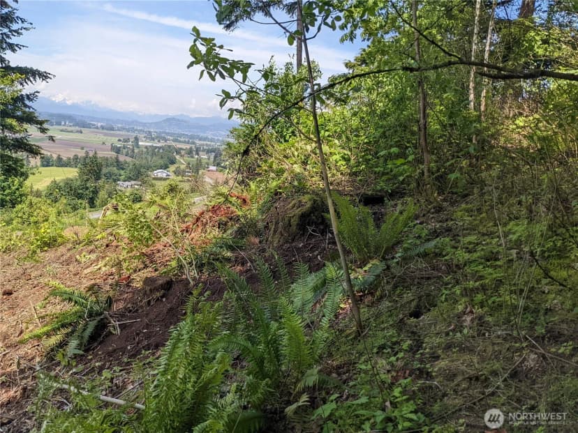 Property photo for 4135 Kamphouse Drive, Sumas photo 14