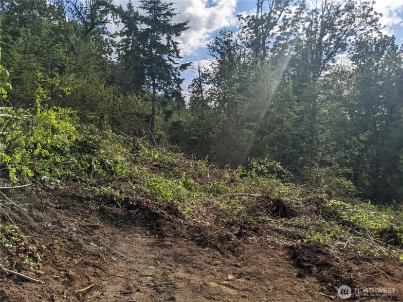 Property photo for 4135 Kamphouse Drive, Sumas photo 12