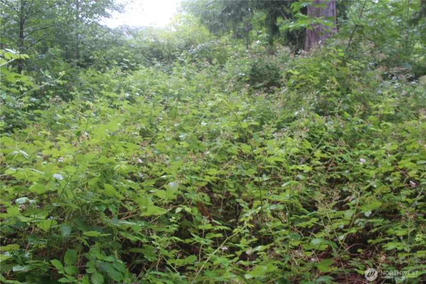 Property photo for 0 State Highway 104, Kingston photo 12