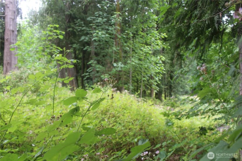 Property photo for 0 State Highway 104, Kingston photo 8