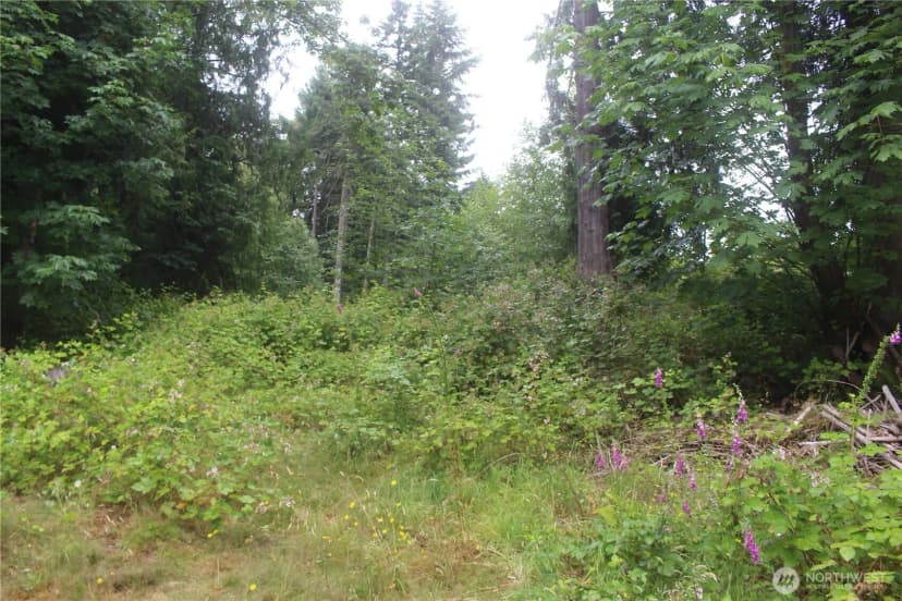 Property photo for 0 State Highway 104, Kingston photo 7