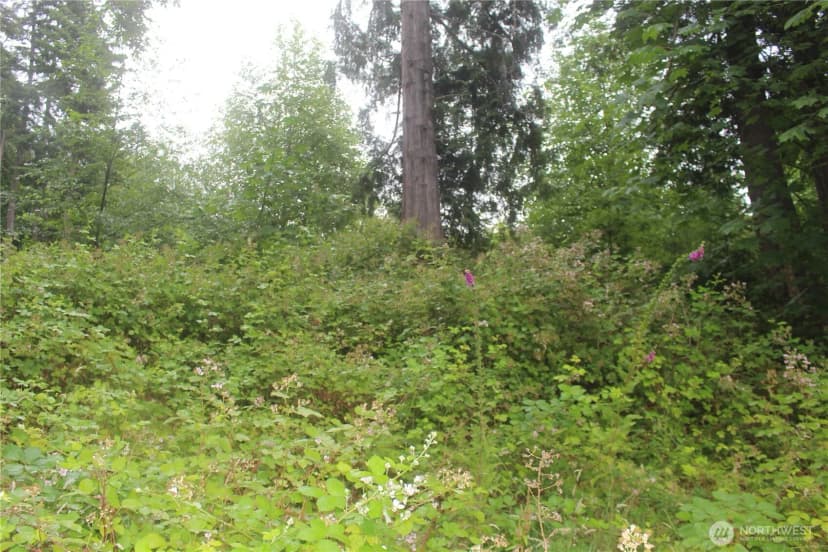 Property photo for 0 State Highway 104, Kingston photo 13
