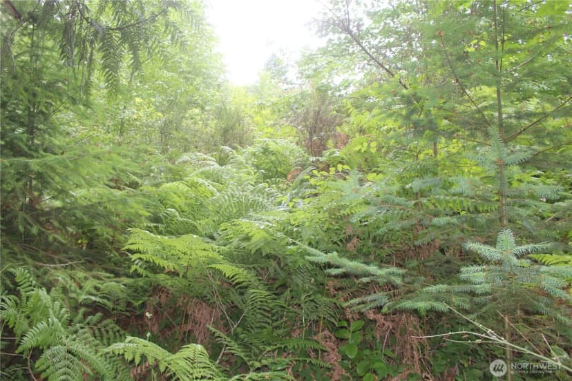 Property photo for 0 State Highway 104, Kingston photo 5
