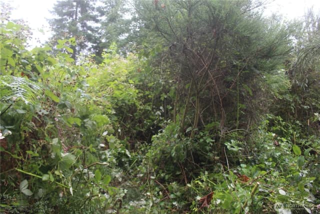 Property photo for 0 State Highway 104, Kingston photo 4