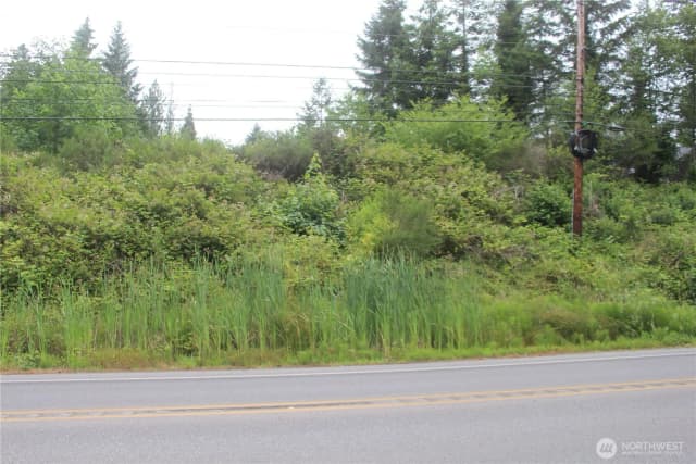 Property photo for 0 State Highway 104, Kingston photo 3