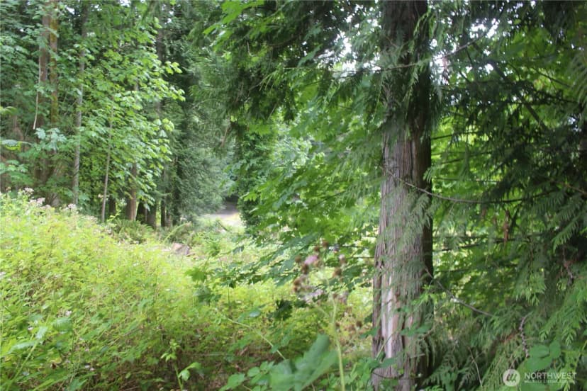 Property photo for 0 State Highway 104, Kingston photo 9