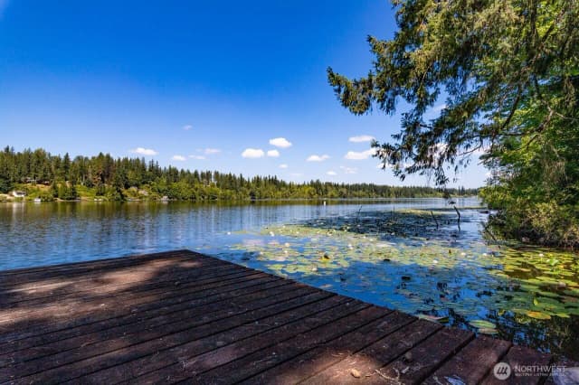 Property photo for 34304 Thomas Road E, Eatonville photo 5