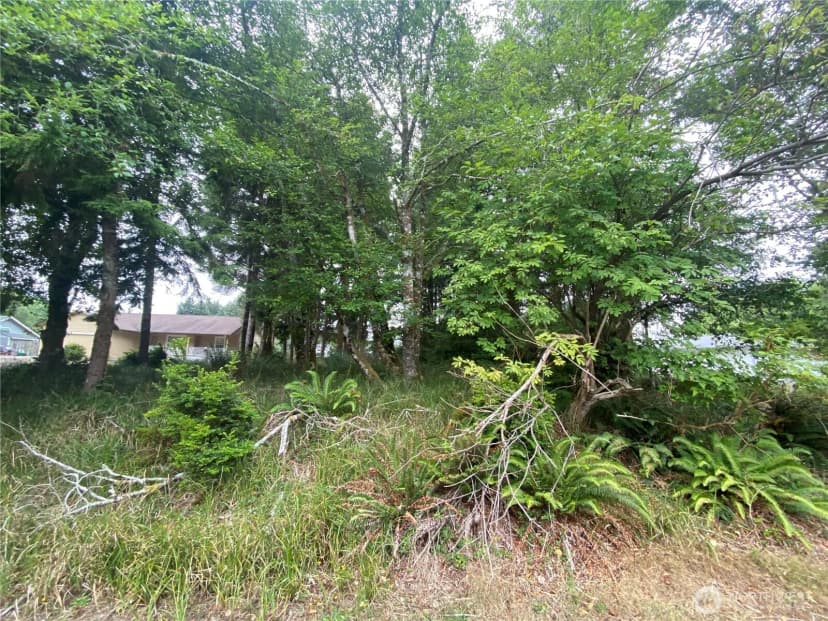 Property photo for 135 Duck Lake Drive Ne, Ocean Shores photo 5