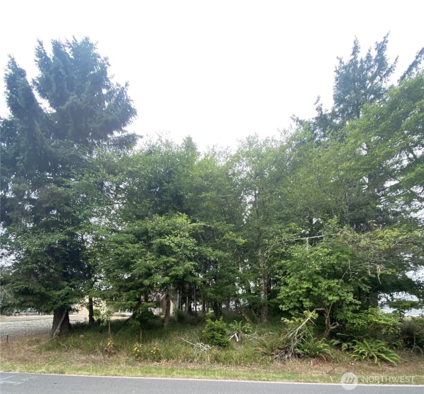 Property photo for 135 Duck Lake Drive Ne, Ocean Shores