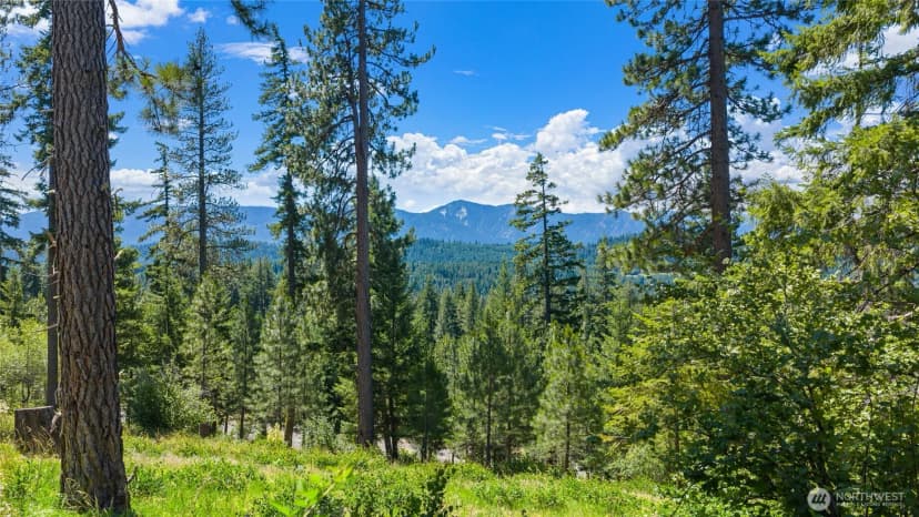 Property photo for 4 Red Sky Way, Cle Elum photo 25
