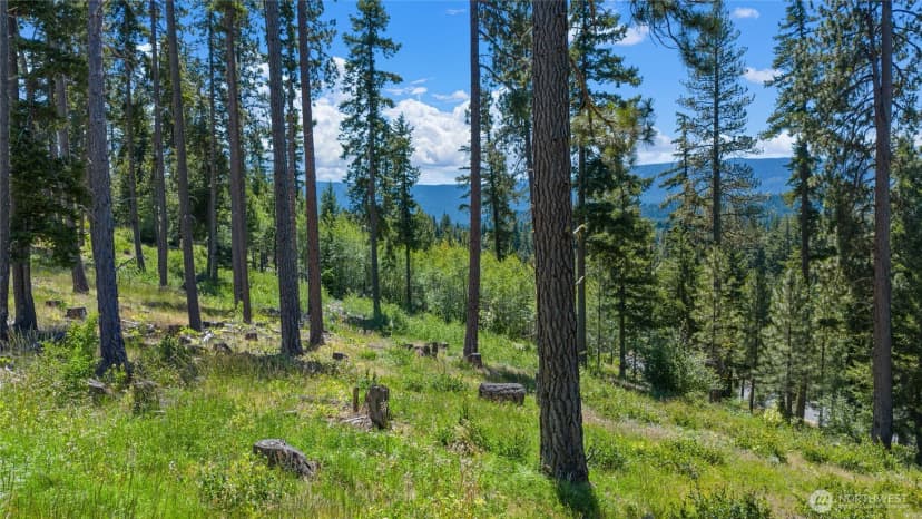 Property photo for 4 Red Sky Way, Cle Elum photo 24