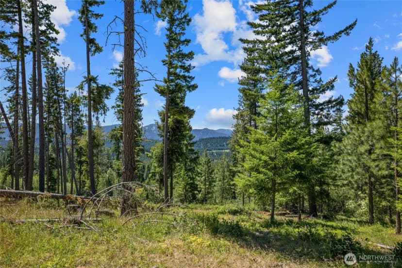 Property photo for 4 Red Sky Way, Cle Elum photo 14
