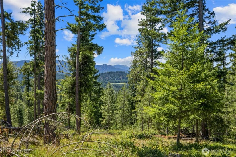 Property photo for 4 Red Sky Way, Cle Elum photo 15