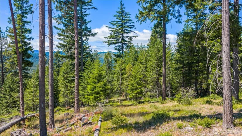 Property photo for 4 Red Sky Way, Cle Elum photo 23