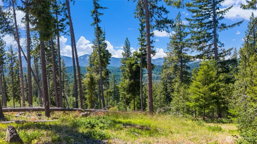 Property photo for 4 Red Sky Way, Cle Elum photo 3