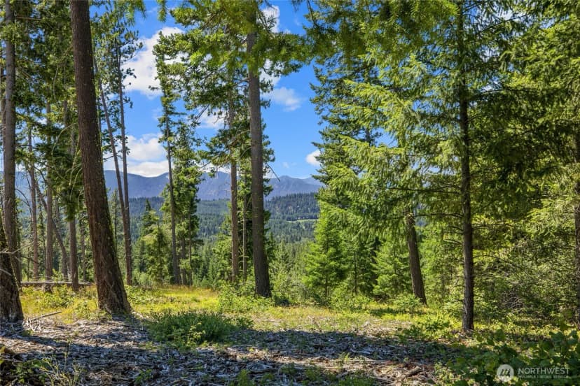 Property photo for 4 Red Sky Way, Cle Elum photo 2