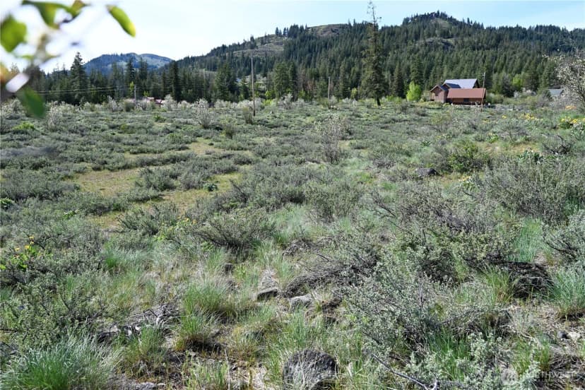 Property photo for 0 Green Meadows, Winthrop photo 16