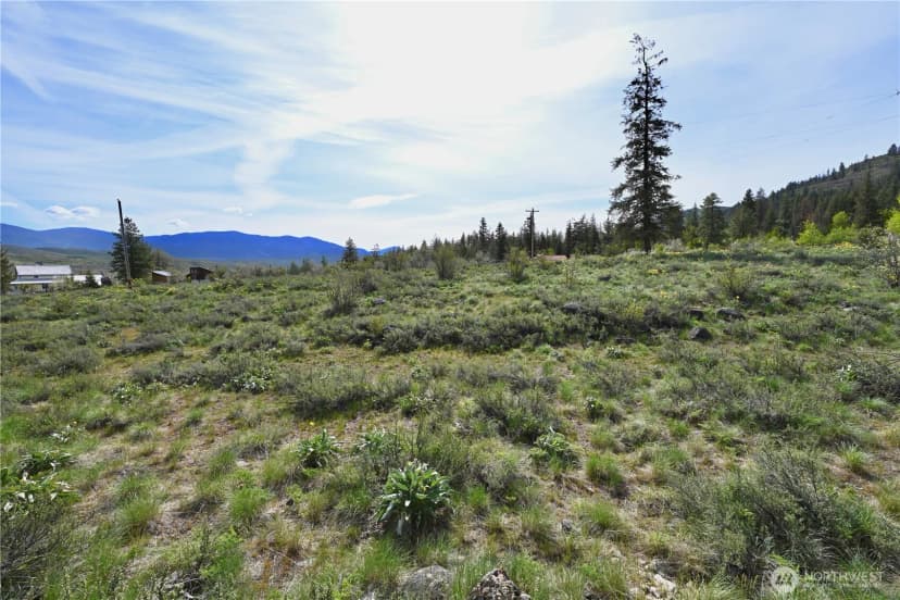 Property photo for 0 Green Meadows, Winthrop photo 24