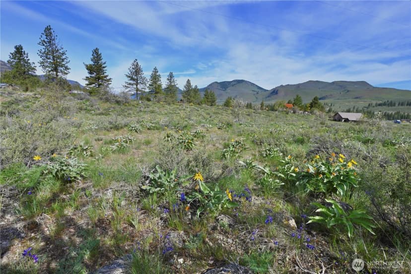 Property photo for 0 Green Meadows, Winthrop photo 26
