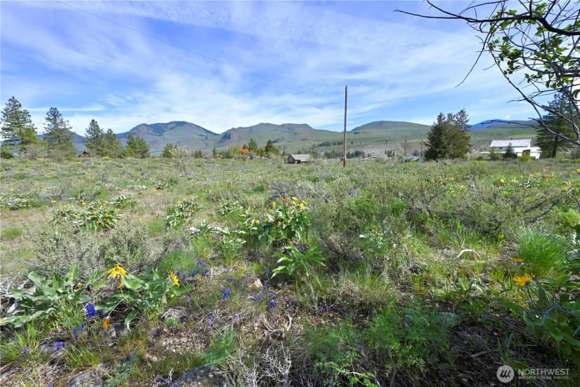 Property photo for 0 Green Meadows, Winthrop photo 10