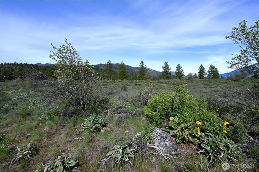 Property photo for 0 Green Meadows, Winthrop photo 11