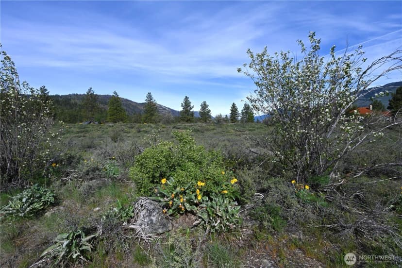 Property photo for 0 Green Meadows, Winthrop photo 7