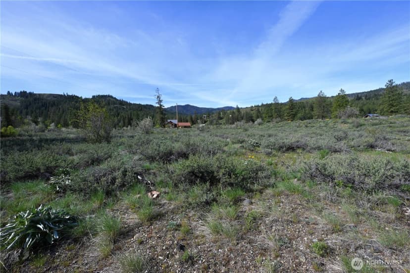 Property photo for 0 Green Meadows, Winthrop photo 6