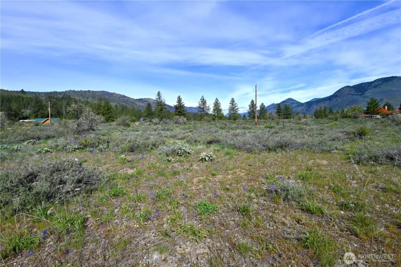 Property photo for 0 Green Meadows, Winthrop photo 13