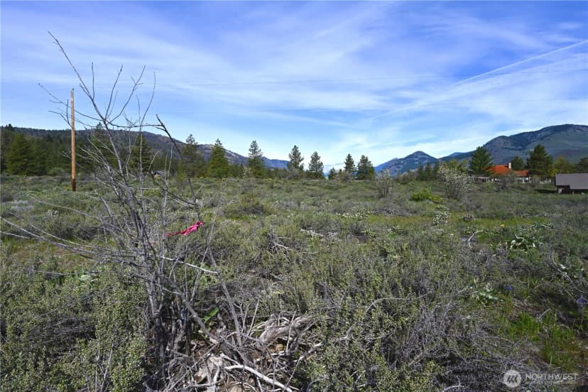Property photo for 0 Green Meadows, Winthrop photo 9