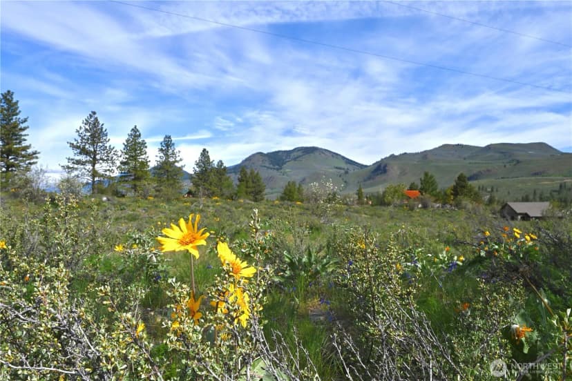 Property photo for 0 Green Meadows, Winthrop