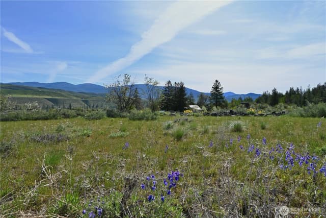 Property photo for 0 Green Meadows, Winthrop photo 4
