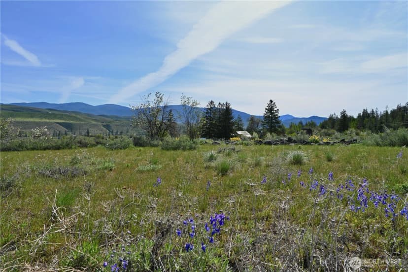 Property photo for 0 Green Meadows, Winthrop photo 4