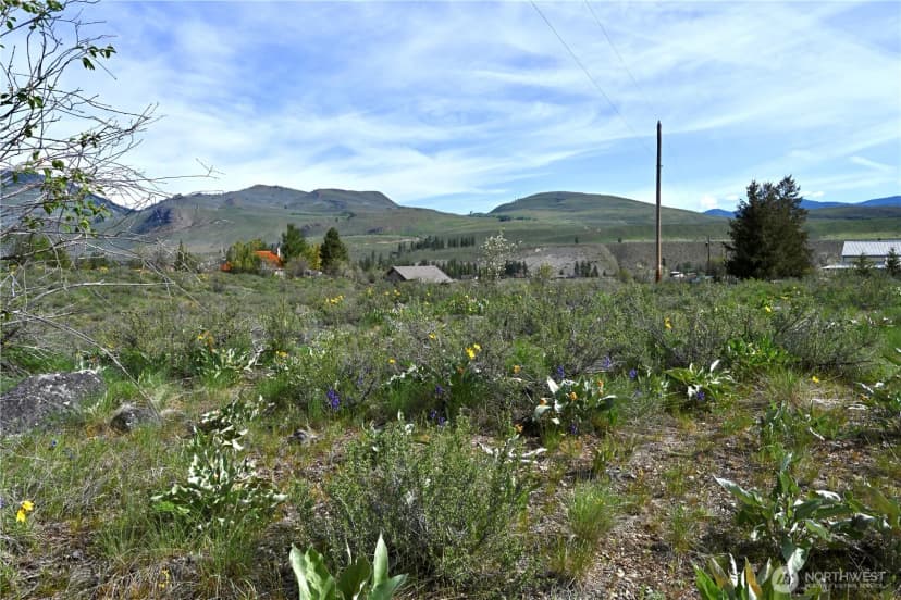 Property photo for 0 Green Meadows, Winthrop photo 12