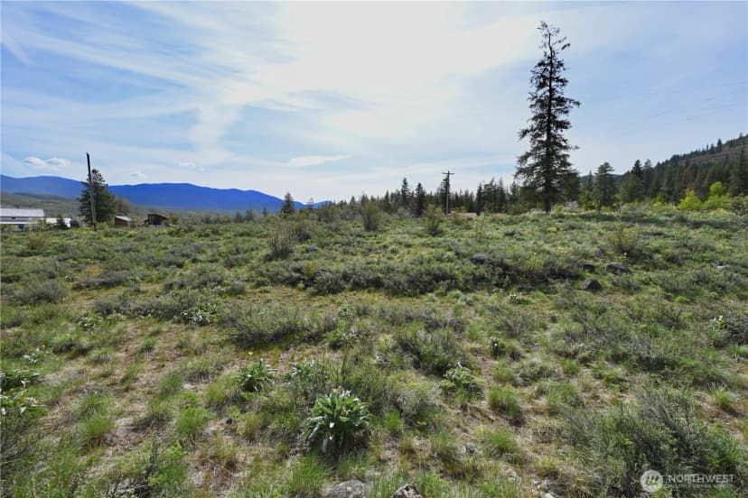 Property photo for 0 Green Meadows, Winthrop photo 15