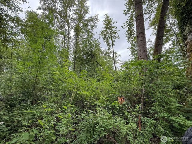 Property photo for 1810 S 27th Street, Renton photo 4