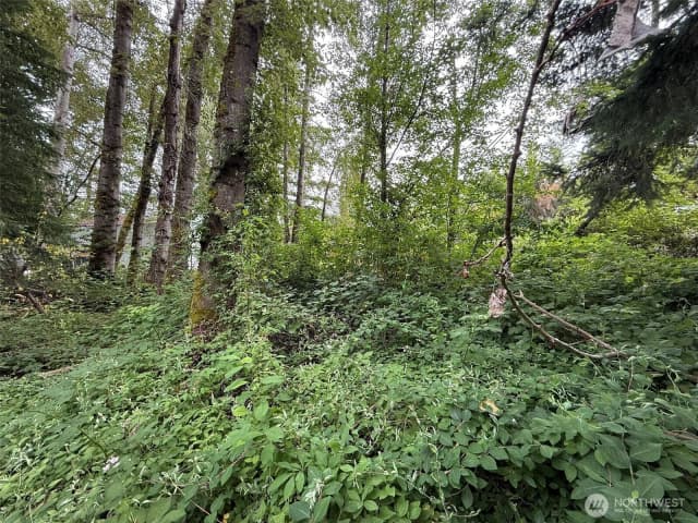 Property photo for 1810 S 27th Street, Renton photo 3