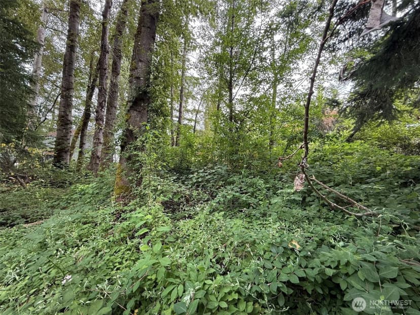 Property photo for 1810 S 27th Street, Renton photo 3